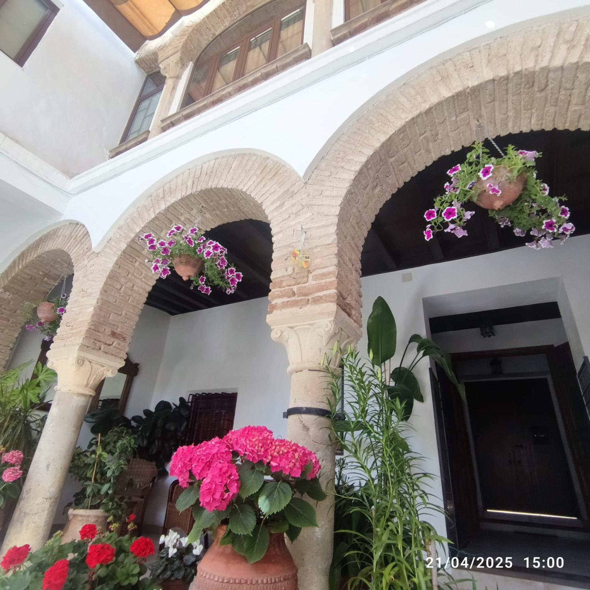 El Patio De Regina Apartamento Córdova Exterior foto